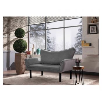 Canapea extensibila cu 2 locuri Futon, Carla Grey, gri, 140x65x70 cm - FUTON, Gri & Argintiu