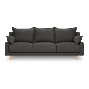 Canapea extensibilă cu spațiu de depozitare Mazzini Sofas Freesia, gri închis