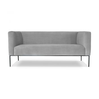 Canapea cu 2 locuri Windsor & Co. Sofas Neptune, gri deschis