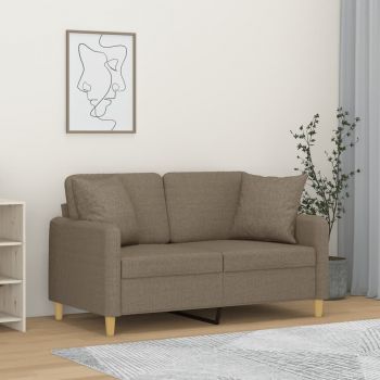 vidaXL Canapea cu 2 locuri cu perne&pernuțe gri taupe 120 cm textil