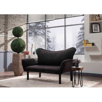 Canapea extensibilă cu 2 locuri, Futon, 859FTN1226, Metal, Negru