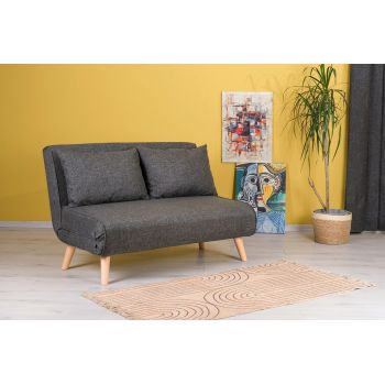 Canapea extensibilă cu 2 locuri, Futon, 859FTN2714, Metal , Gri inchis