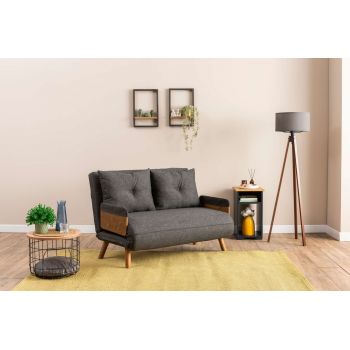 Canapea extensibilă cu 2 locuri, Futon, 859FTN2724, Metal , Gri inchis