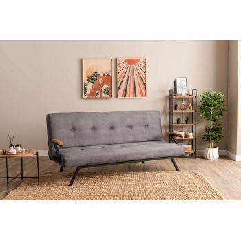 Canapea extensibila cu 3 locuri, Futon, 859FTN2903, Metal , Gri