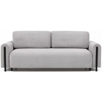 Canpaea extensibila Arcadova II Jarell 03 Canpaea extensibila Arcadova II Jarell 03