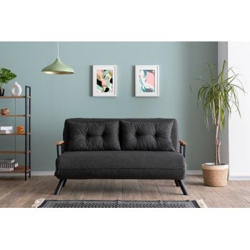 Canapea extensibilă cu 2 locuri Sando Gri inchis 175x133x41 cm la reducere Canapea extensibilă cu 2 locuri Sando Gri inchis 175x133x41 cm la reducere