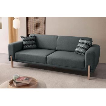 Canapea extensibila 3 locuri, Atelier del Sofa, 752EST1126, Frame: 70% HORNBEAM/30% MELAMINE COATED CHIPBOARD, Antracit